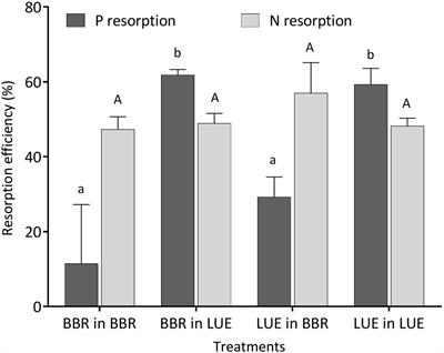 Phosphorus Allocation to Leaves of Beech Saplings Reacts to Soil Phosphorus Availability